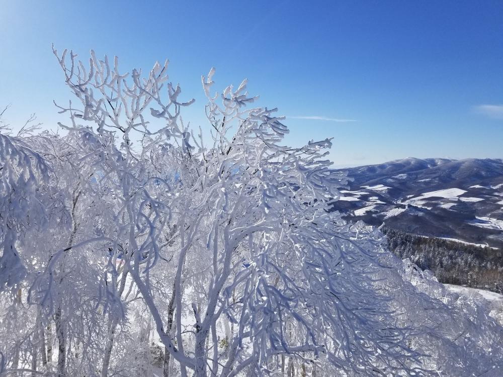 北海道