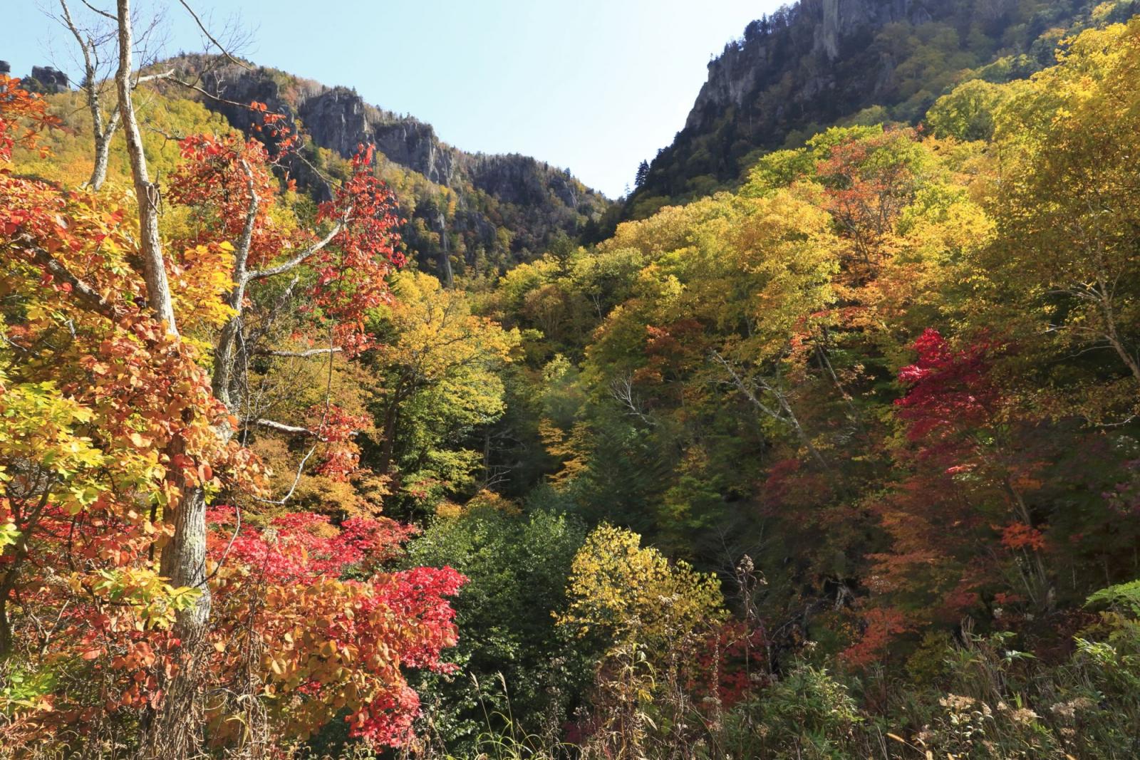 北海道