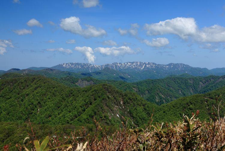 日本