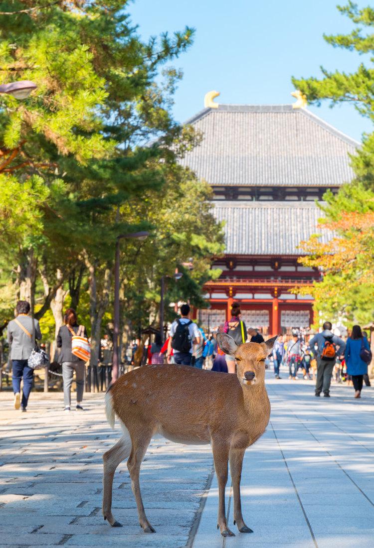 日本