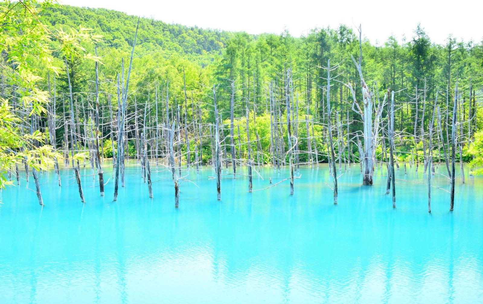北海道