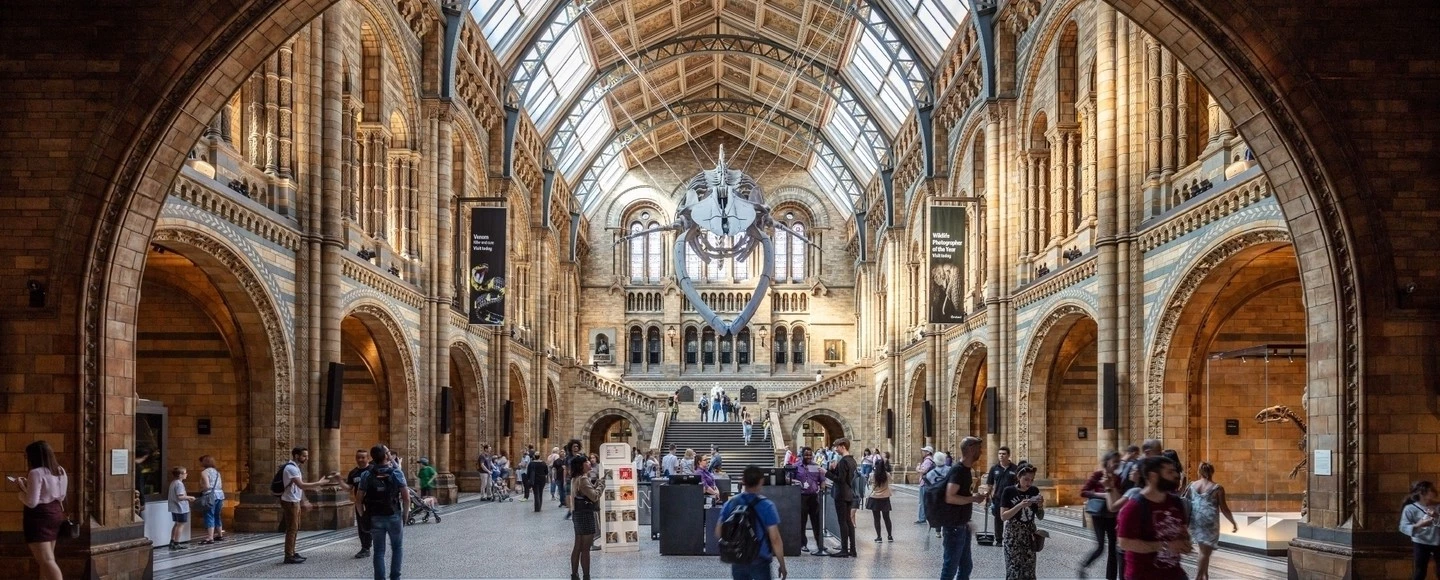 伦敦