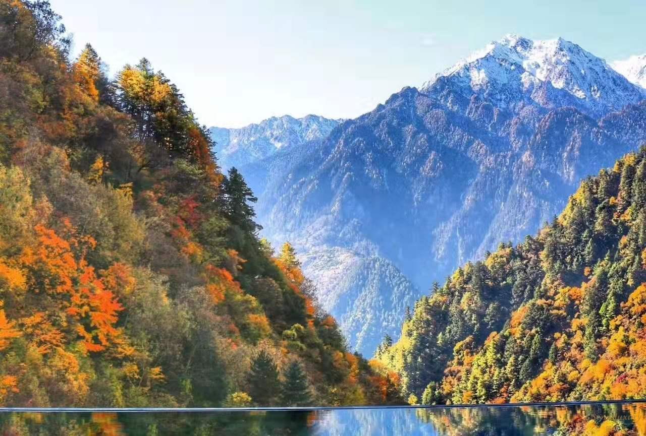 中国