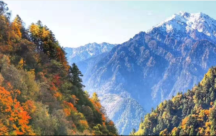 中国