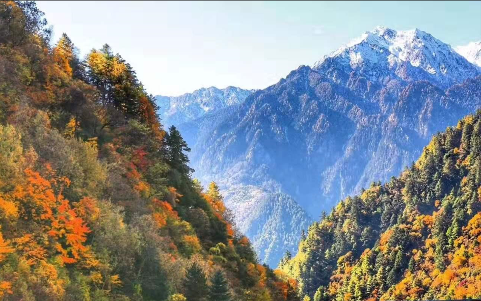 中国