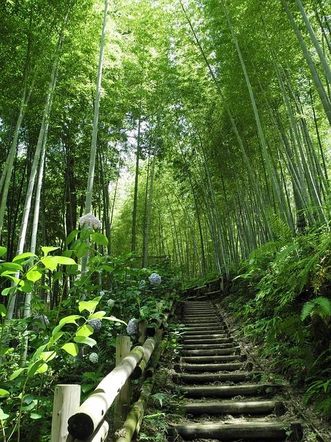 中国