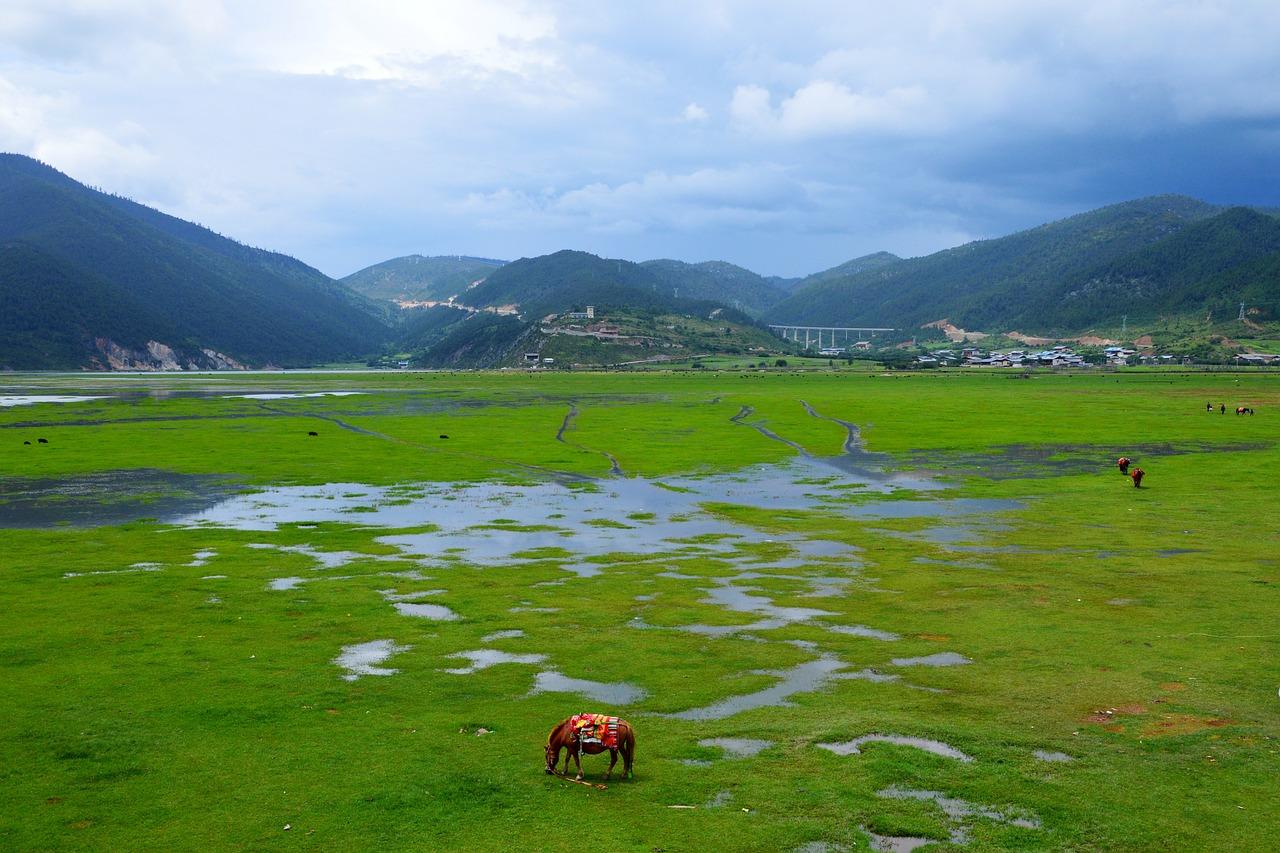中国