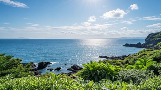 济州岛