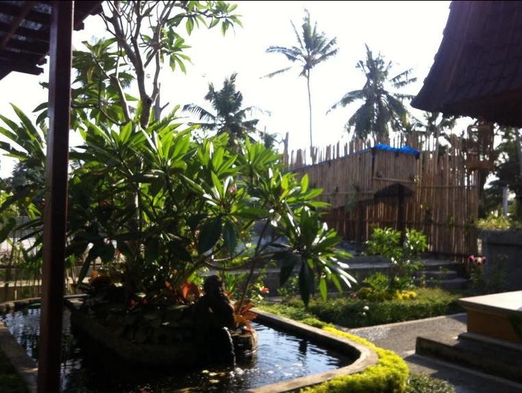 Dini Bali