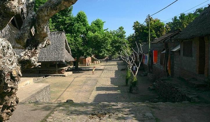 Desa Tenganan  