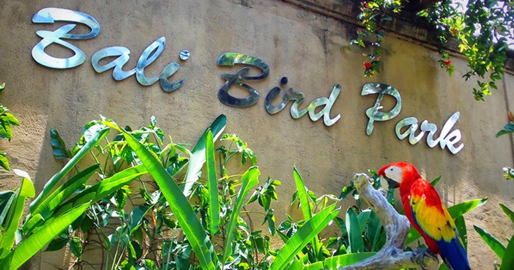 巴厘岛鸟类公园Bali Bird Park