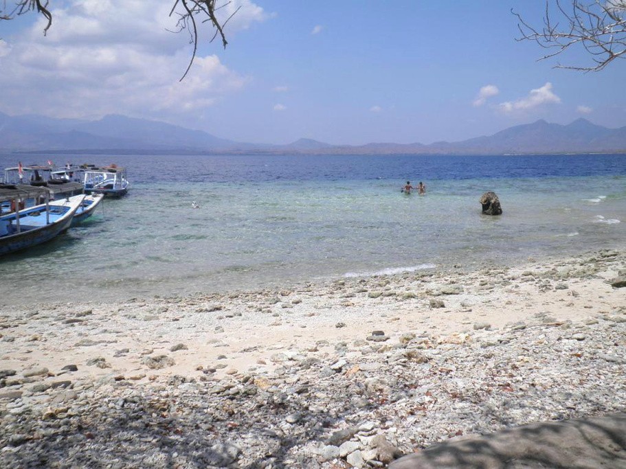 门姜岸岛Pulau Menjangan