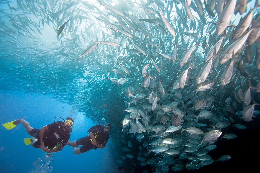 Bali Diving Academy