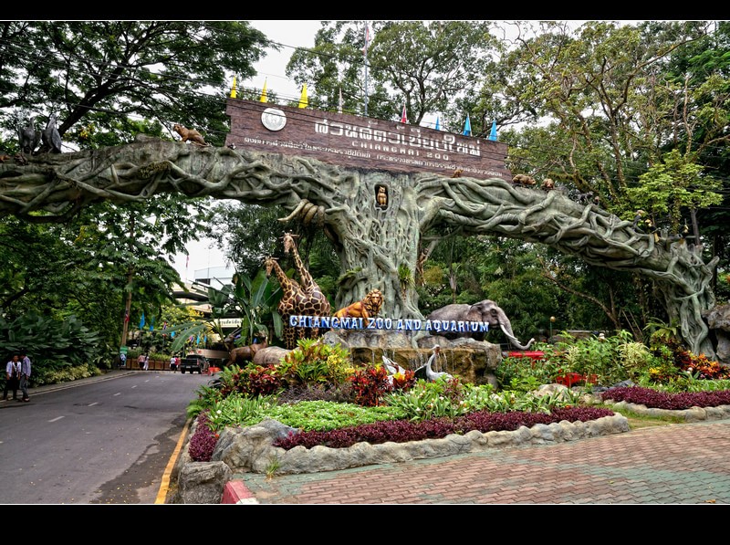 清迈动物园Chiangmai zoo