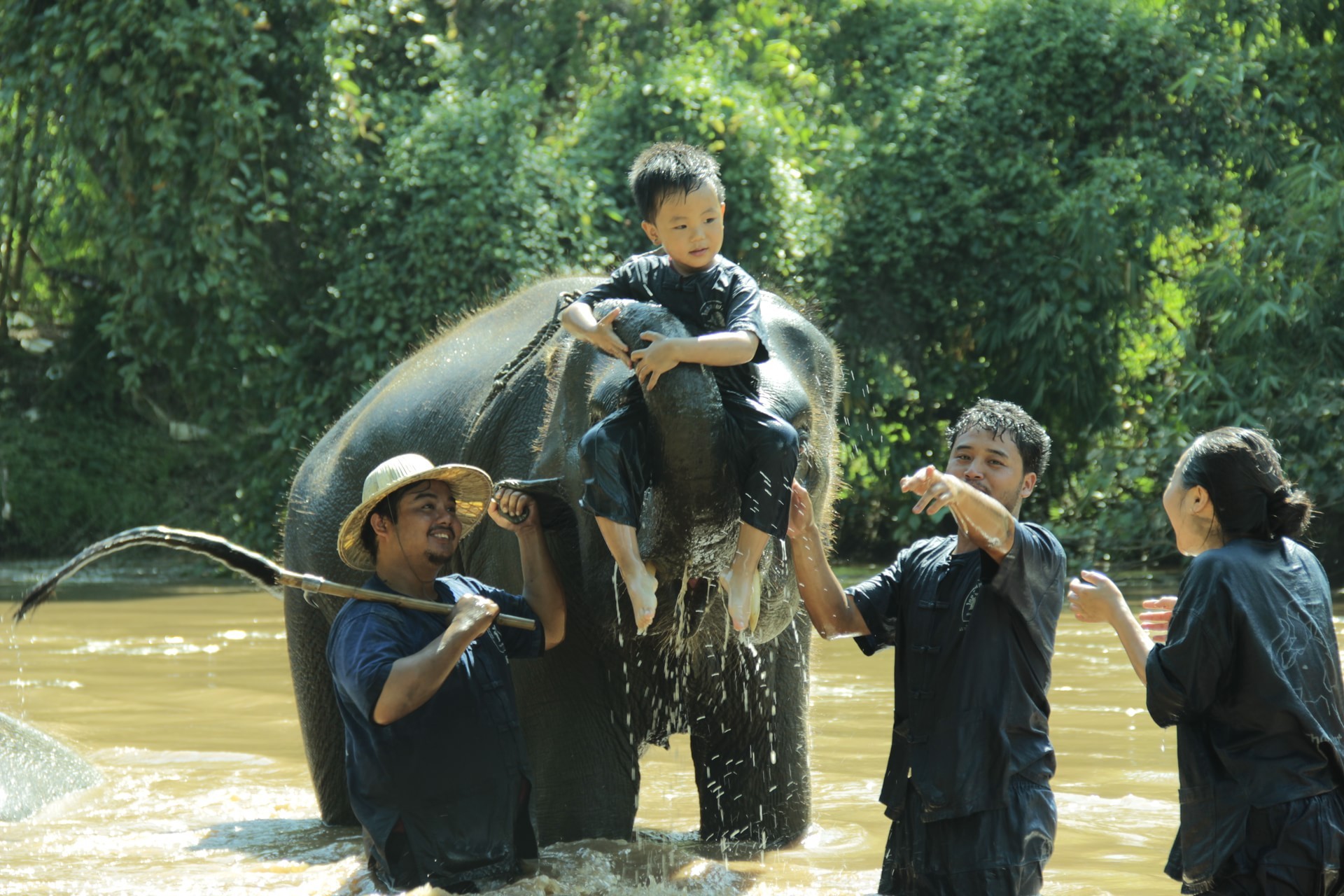 泰国大象之家(Thai Elephant Home)