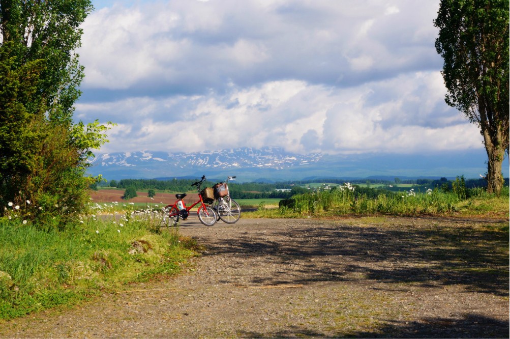 超广角之路Panorama Road