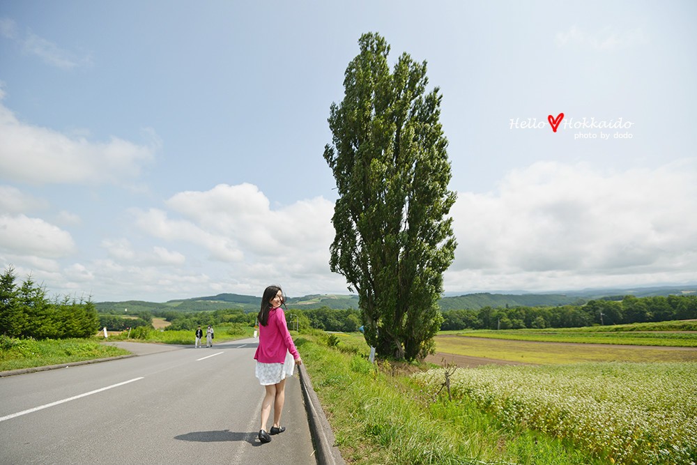 肯与玛丽之树Ken & Mary Tree