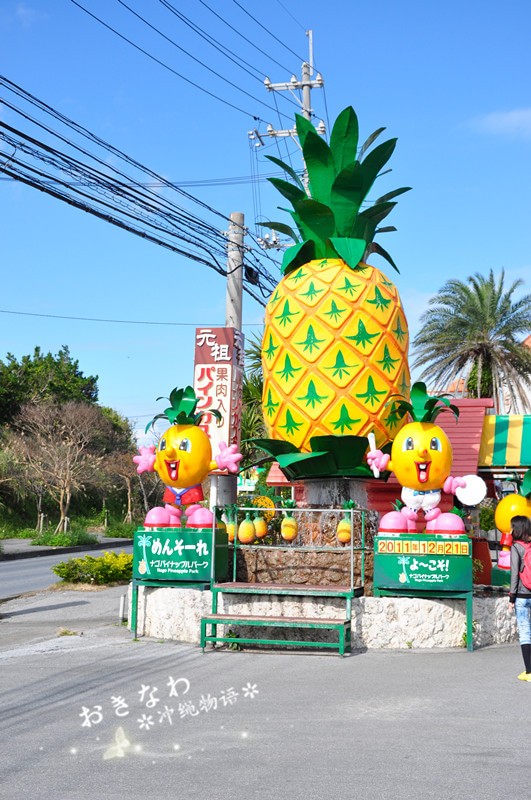 名护菠萝园Pineapple Park Nago