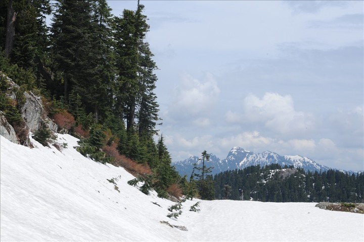 格劳斯山(Grouse Mountain)