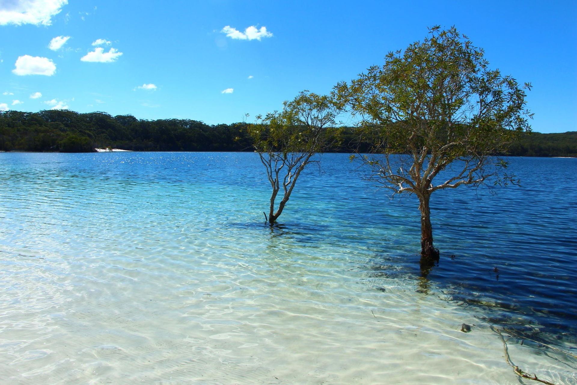 费沙岛(Fraser Island)