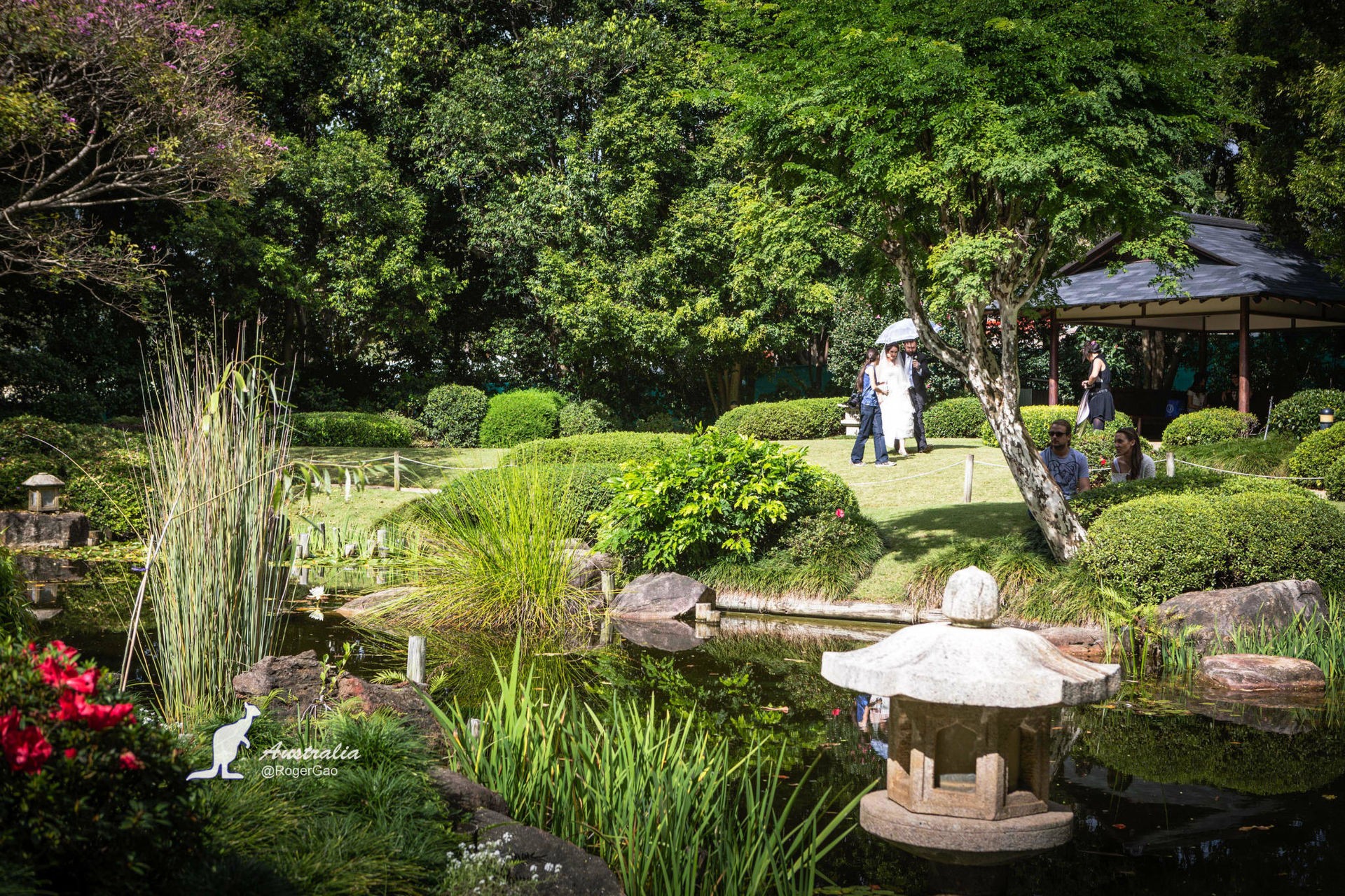 库塔山植物园(MtCoot-thaBotanicGardens)