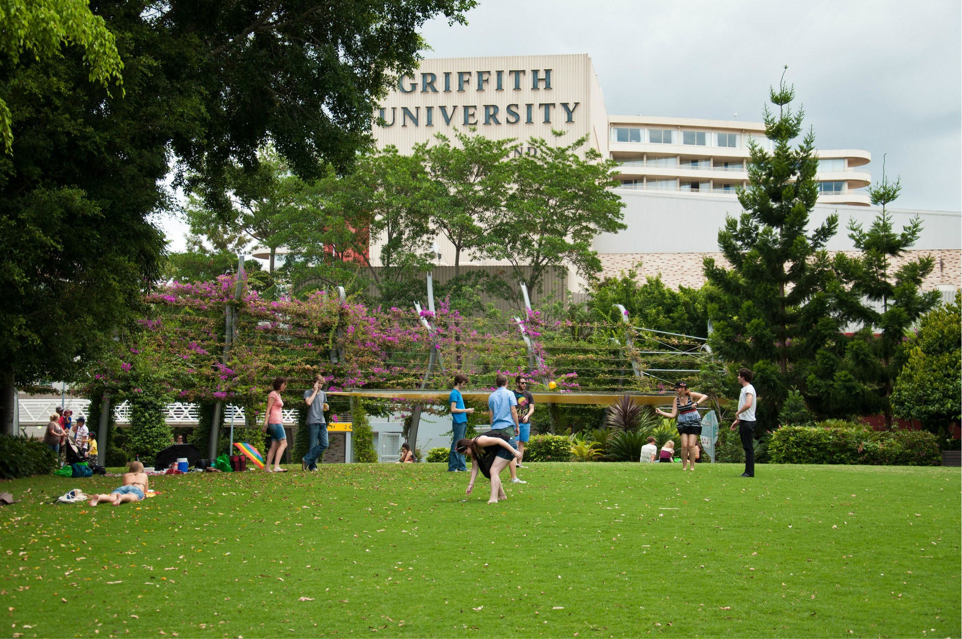 格里菲斯大学（Griffith University）